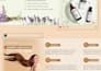 create custom high impact ad creatives